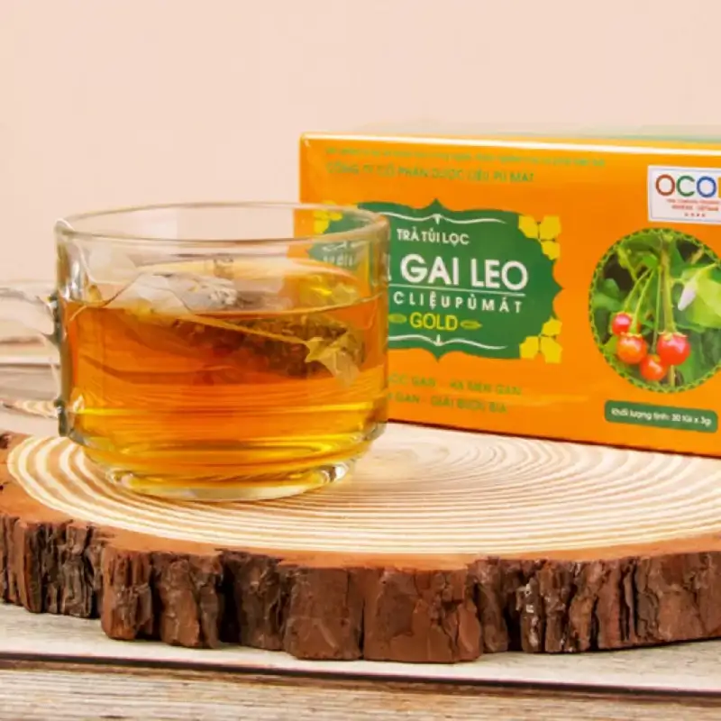 Cà gai leo Pù Mát thảo dược quý cho gan khỏe mỗi ngày