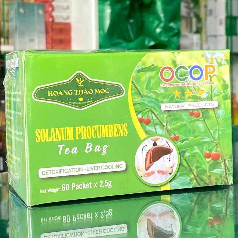 Cà gai leo trà túi lọc giải pháp tự nhiên hỗ trợ giải độc gan hiệu quả